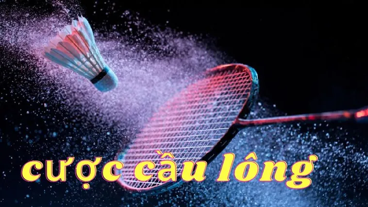 Cách Chơi Cá Cược Cầu Lông Tại BK8 Để Tăng Tỷ Lệ Thắng Lớn
