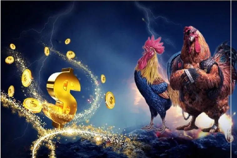 Hướng Dẫn Chơi Đá Gà Sabong Tại BK8: Bí Quyết Thắng Lớn Hấp Dẫn