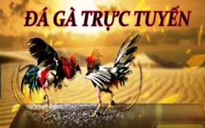 Tham Gia Đá Gà WS168 Tại BK8: Hướng Dẫn Chi Tiết Để Thắng Lớn