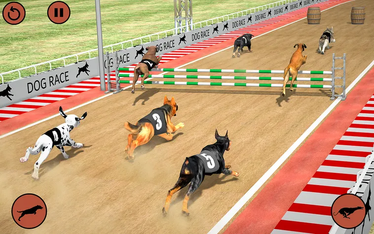 Bí Quyết Chơi Game Nhanh Đua Chó Tại BK8 Thắng Lớn, Nhận Thưởng Khủng